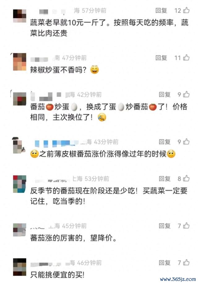 着手：新闻坊、新民晚报、全国新闻、网友挑剔等