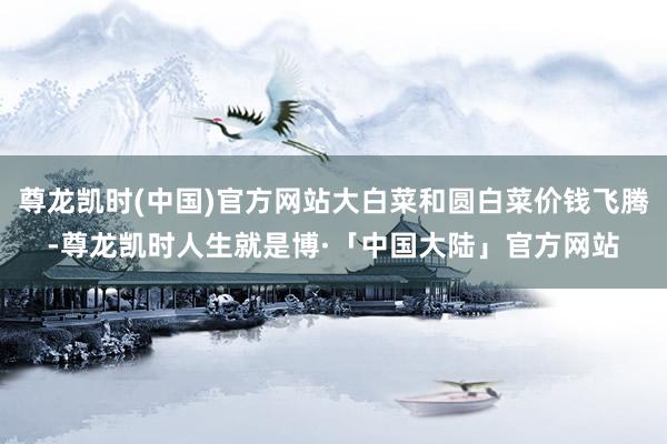 尊龙凯时(中国)官方网站大白菜和圆白菜价钱飞腾-尊龙凯时人生就是博·「中国大陆」官方网站