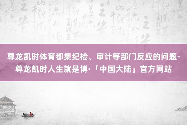 尊龙凯时体育都集纪检、审计等部门反应的问题-尊龙凯时人生就是博·「中国大陆」官方网站