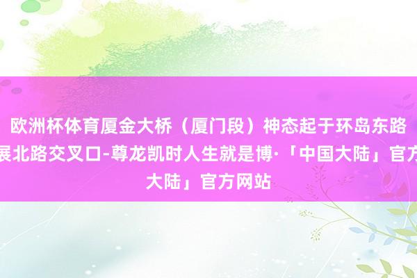 欧洲杯体育厦金大桥（厦门段）神态起于环岛东路与会展北路交叉口-尊龙凯时人生就是博·「中国大陆」官方网站