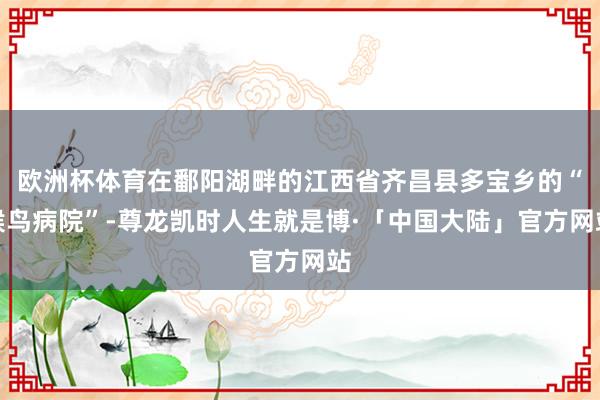欧洲杯体育在鄱阳湖畔的江西省齐昌县多宝乡的“候鸟病院”-尊龙凯时人生就是博·「中国大陆」官方网站