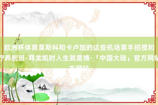 欧洲杯体育莫斯科和卡卢加的这些机场罢手招揽和疗养航班-尊龙凯时人生就是博·「中国大陆」官方网站